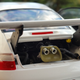 Illustration for article titled Teutonic Tuesday: Yep, Another 996 911